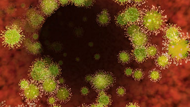 Coronavirus fly-through loop