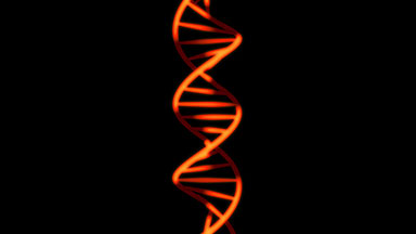DNA becomes a dollar symbol