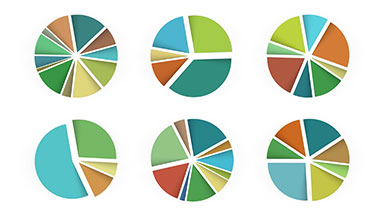 Set of 12 animated pie charts