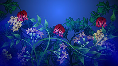 Growing Plants and Vines