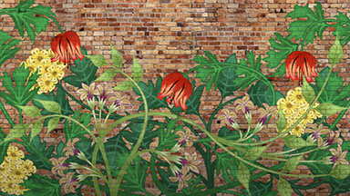 Growing Plants and Vines