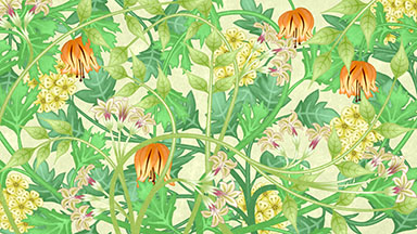 Growing Plants and Vines