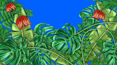 Tropical Plants Blue Screen with Copy Space