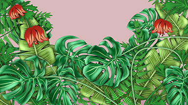 Tropical Plants Animation with Copy Space
